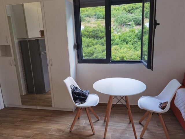 Studio apartman u Kotoru