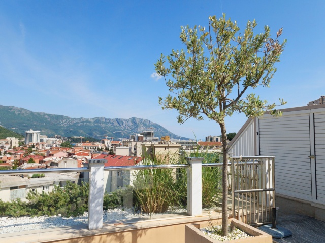 Three bedroom apartment with access to the roof and garage space in Budva