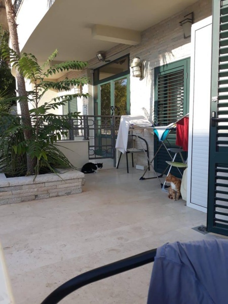 Apartment mit einem Schlafzimmer in Tivat in der Nähe des Meeres