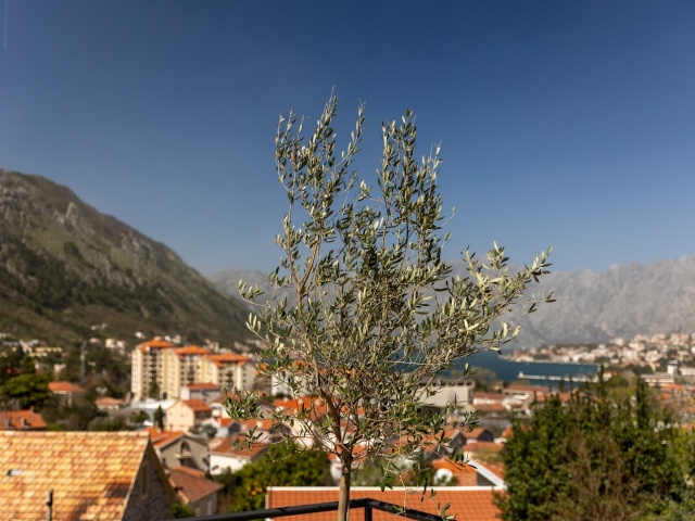 New modern house for sale with sea views near the Old Town of Kotor