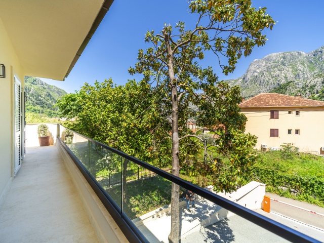 Brand new house with a swimming pool in Kotor