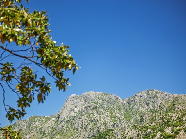 Brand new house with a swimming pool in Kotor