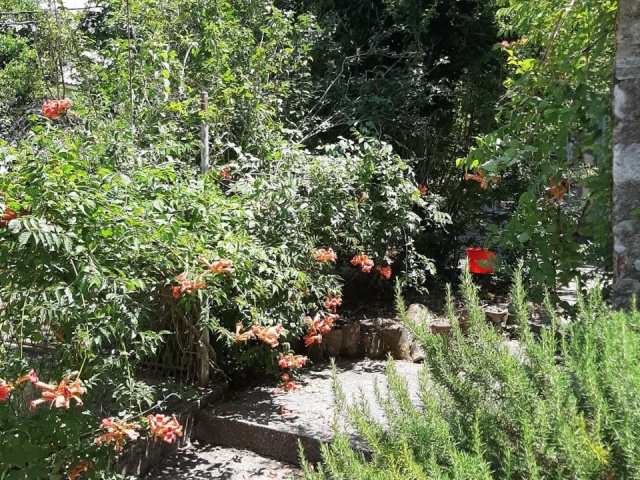 House for Sale in Dobrota – Sveti Stasije, Kotor