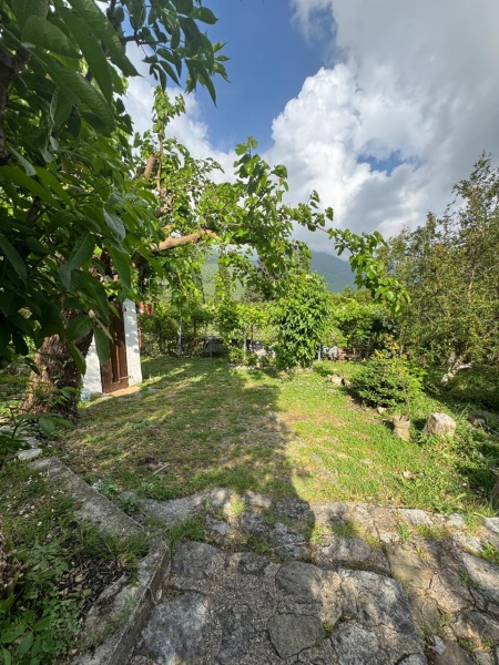 Wunderschönes Anwesen in Herceg Novi – Sasovići zu verkaufen