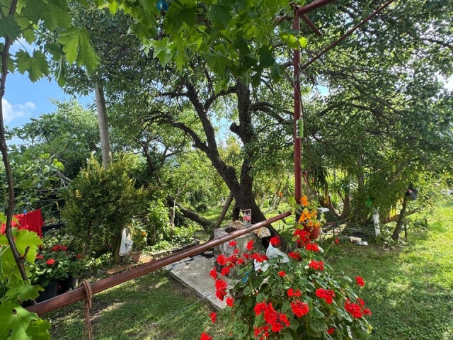 Wunderschönes Anwesen in Herceg Novi – Sasovići zu verkaufen