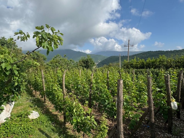 Wunderschönes Anwesen in Herceg Novi – Sasovići zu verkaufen
