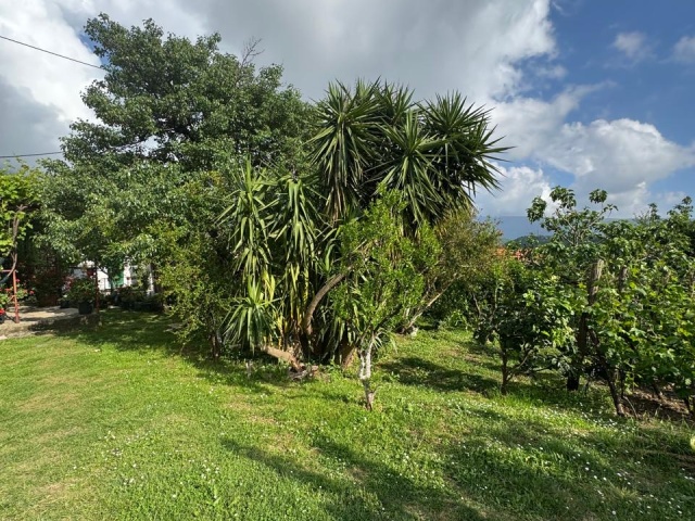 Wunderschönes Anwesen in Herceg Novi – Sasovići zu verkaufen