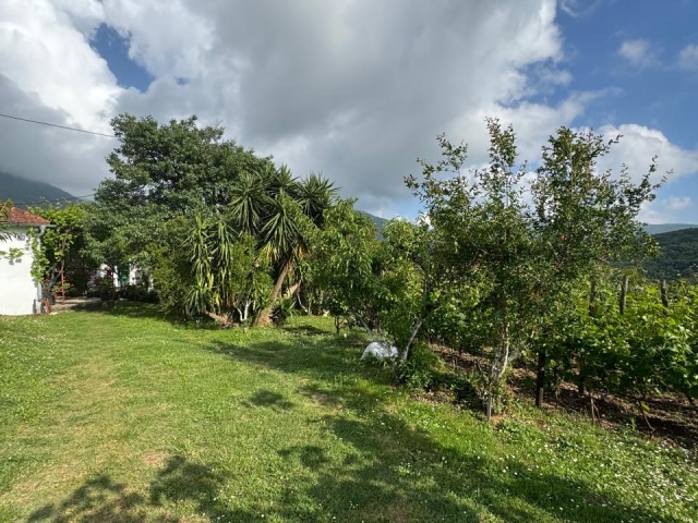 Wunderschönes Anwesen in Herceg Novi – Sasovići zu verkaufen