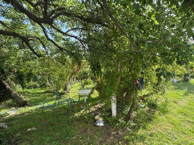 Wunderschönes Anwesen in Herceg Novi – Sasovići zu verkaufen