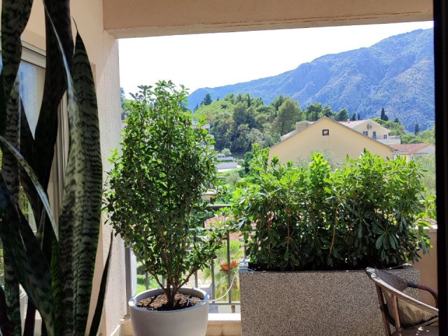 Prodaje se ljep i prostoran stan u Dobroti