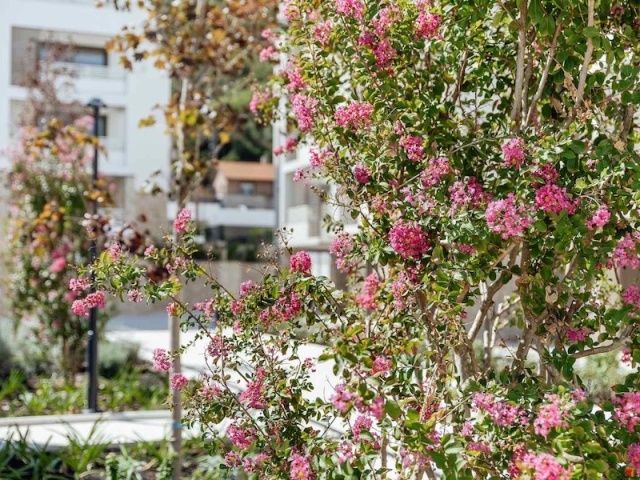 Апартаменты с двумя спальнями в новом комплексе с бассейном и SPA-центром, Герцег-Нови