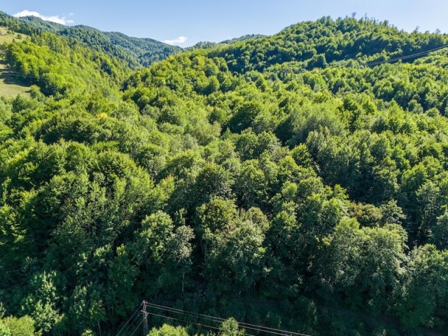 Investiciono zemljište za projekat stambenog naselja – Crkvine, Kolašin