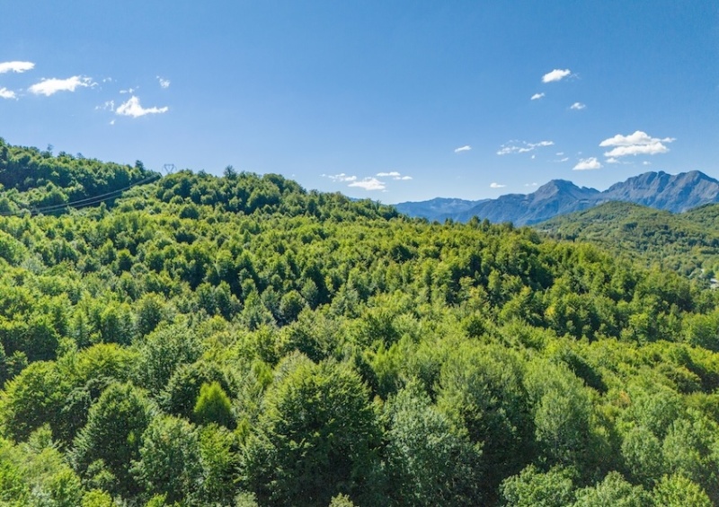 Investiciono zemljište za projekat stambenog naselja – Crkvine, Kolašin