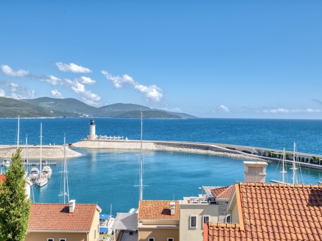 Premium one-bedroom apartment in Lustica Bay